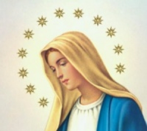 Provincia Immacolata Concezione della BVM